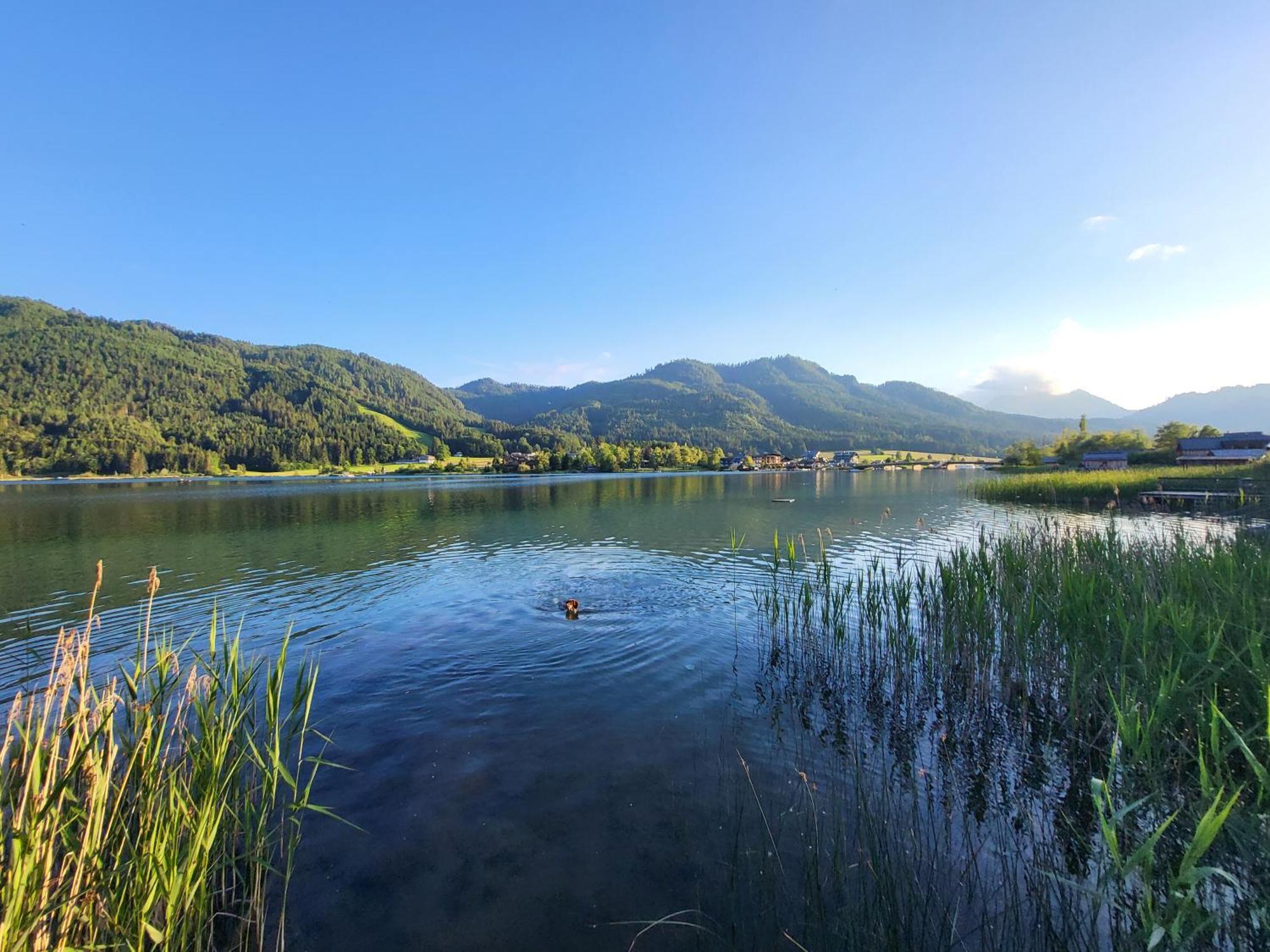 Haus Lackner Am Weissensee In Kaernten Extérieur photo